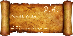 Peknik Andor névjegykártya